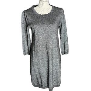 Banana Republic Silver Dress